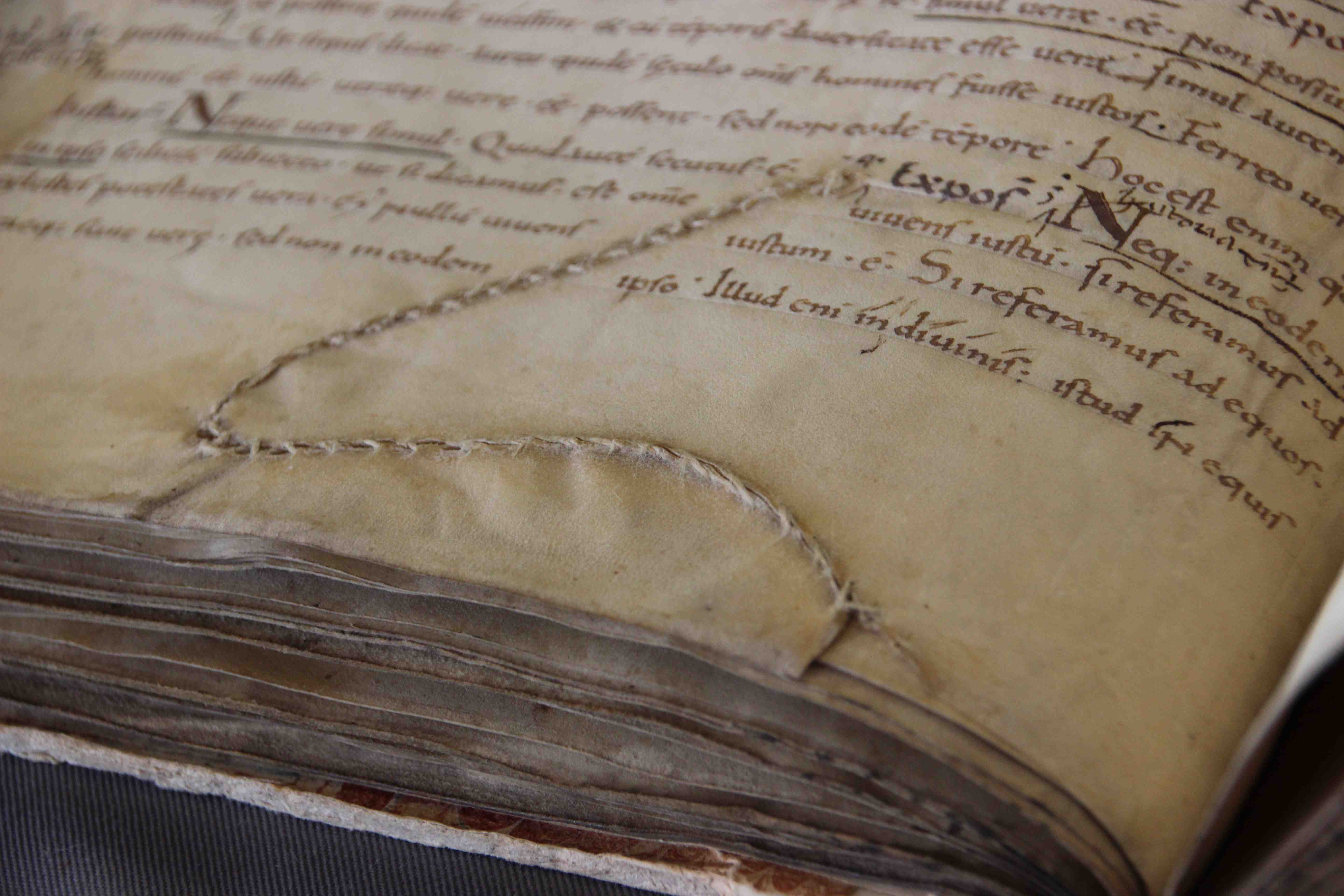 A leaf of aged parchment, the writing surface invented at Pergamum.